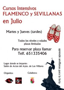 curso intensivo de flamencoysevillana-Julio2014