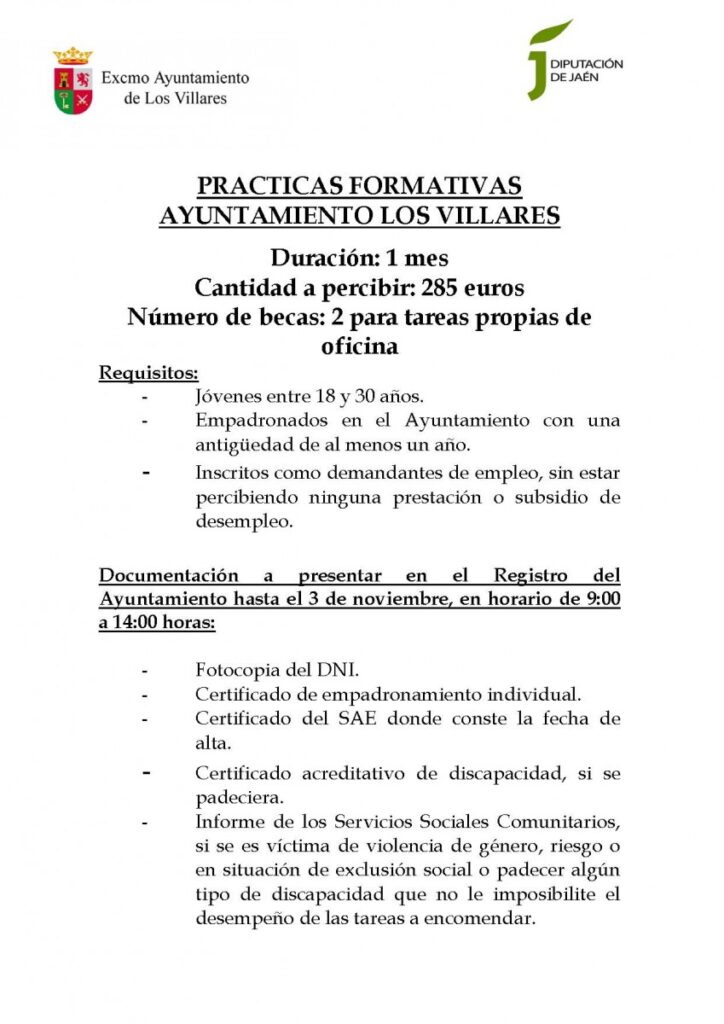 PRACTICAS AYTO DIPUTACION